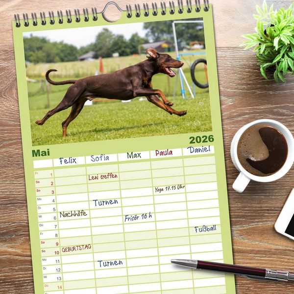 Produktbild: Familienplaner 2026 - Dobermann mit 5 Spalten (Wandkalender, 21 x 45 cm) CALVENDO