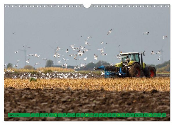 Produktbild: Landwirtschaft - Maschinen im Einsatz (Wandkalender 2026 DIN A3 quer), CALVENDO Monatskalender