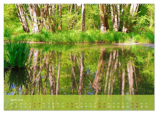 Produktbild: Wanderparadies S&uuml;dpfalz (hochwertiger Premium Wandkalender 2026 DIN A2 quer), Kunstdruck in Hochglanz