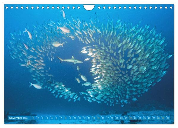 Produktbild: Planet Wasser: Von wegen Planet Erde (Wandkalender 2026 DIN A4 quer), CALVENDO Monatskalender