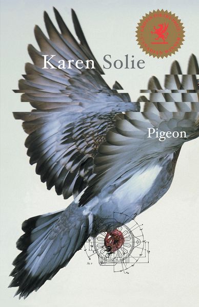 Produktbild: Pigeon