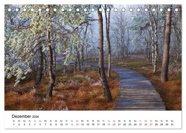 Produktbild: Auf neuen Wegen (Tischkalender 2026 DIN A5 quer), CALVENDO Monatskalender