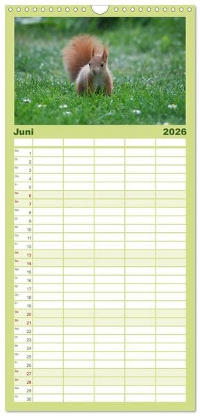 Produktbild: Familienplaner 2026 - Spa&szlig; mit Eichh&ouml;rnchen-Kindern mit 5 Spalten (Wandkalender, 21 x 45 cm) CALVENDO