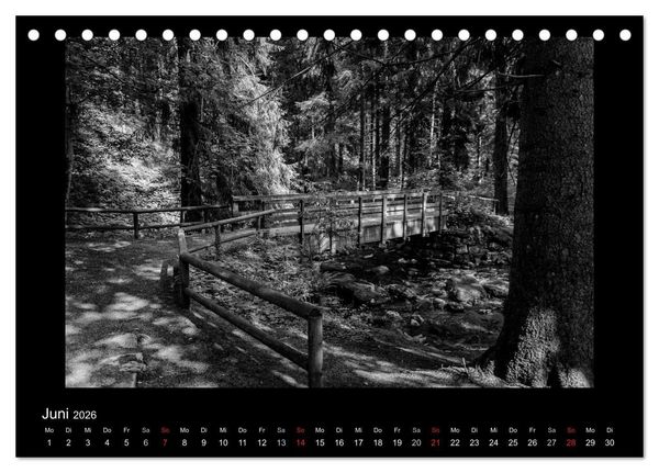Produktbild: Harz-Bilder in monochrome (Tischkalender 2026 DIN A5 quer), CALVENDO Monatskalender
