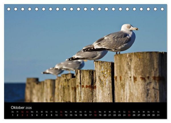 Produktbild: Unterwegs an der K&uuml;ste der Ostsee (Tischkalender 2026 DIN A5 quer), CALVENDO Monatskalender