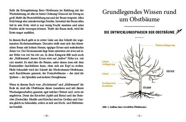 Produktbild: Das große kleine Buch: Obstbaumschnitt