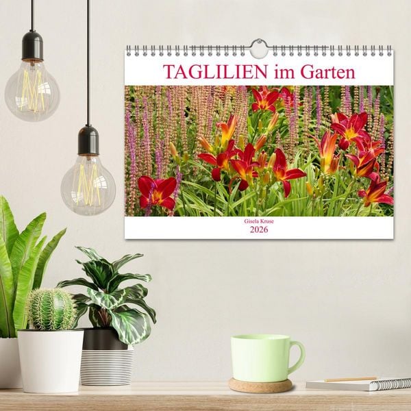 Produktbild: Taglilien im Garten (Wandkalender 2026 DIN A4 quer), CALVENDO Monatskalender