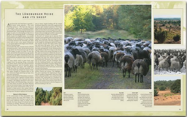 Produktbild: Journey through Lower Saxony - Reise durch Niedersachsen