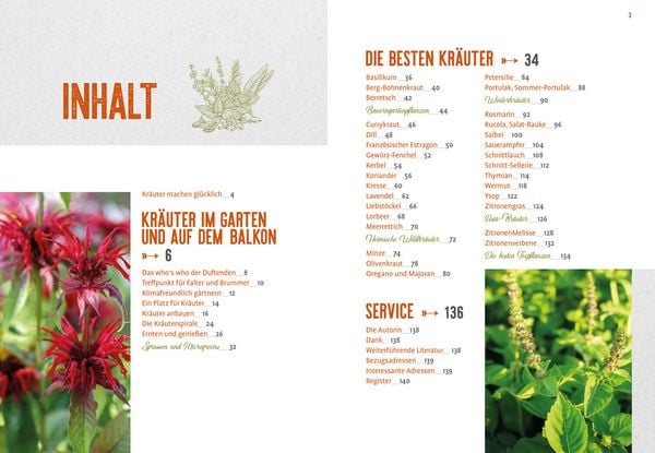 Produktbild: Lang lebe mein Basilikum!