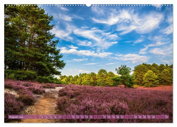Produktbild: Romantische Heidebl&uuml;te (Wandkalender 2026 DIN A2 quer), CALVENDO Monatskalender