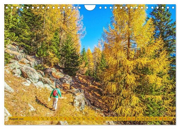 Produktbild: Das Element Holz - Ein Sinnbild (Wandkalender 2026 DIN A4 quer), CALVENDO Monatskalender