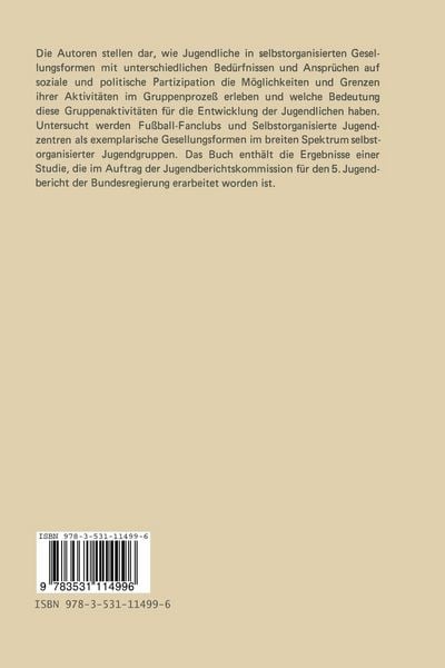 Produktbild: Selbstorganisierte Jugendgruppen zwischen Partykultur und politischer Partizipation