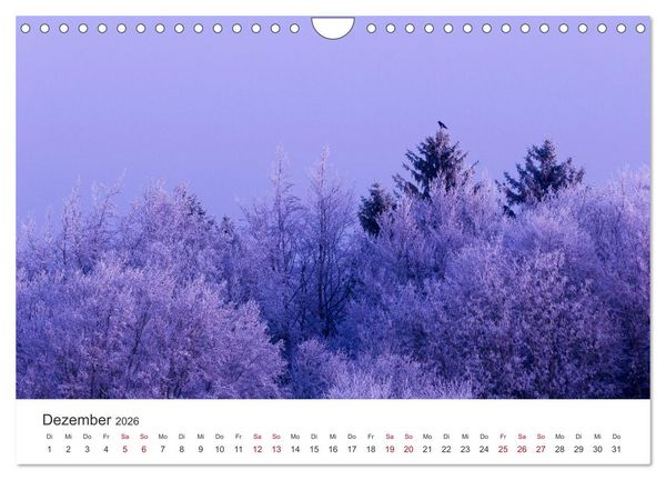 Produktbild: Im Deutschen Wald (Wandkalender 2026 DIN A4 quer), CALVENDO Monatskalender