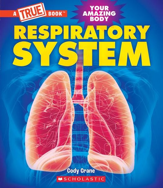 Produktbild: Respiratory System (a True Book: Your Amazing Body)