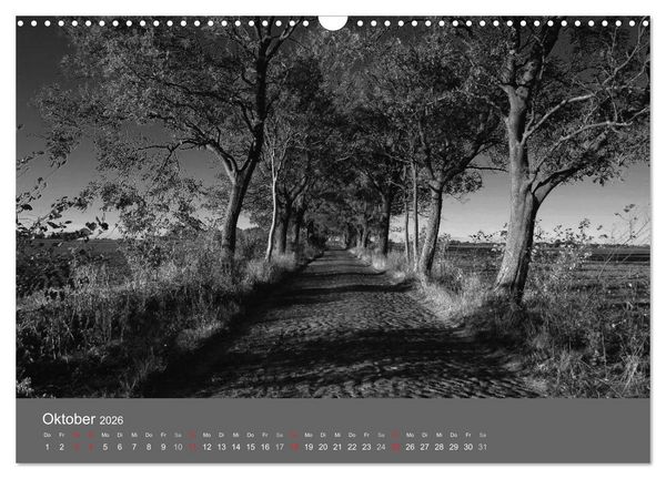Produktbild: Ostsee - von schwarz bis wei&szlig; (Wandkalender 2026 DIN A3 quer), CALVENDO Monatskalender