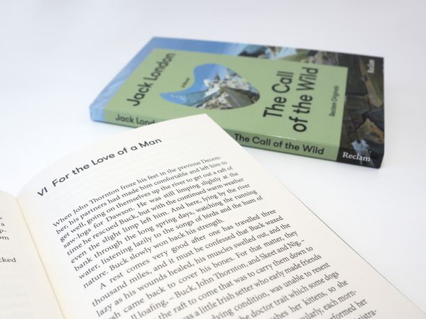 Produktbild: The Call of the Wild