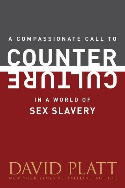 Produktbild: In a World Of Sex Slavery