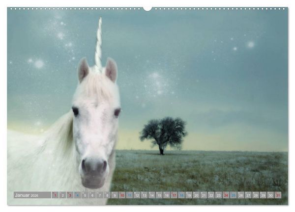 Produktbild: Fabeltier Einhorn (hochwertiger Premium Wandkalender 2026 DIN A2 quer), Kunstdruck in Hochglanz