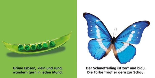 Produktbild: Mein F&uuml;hlbilderbuch. Farben