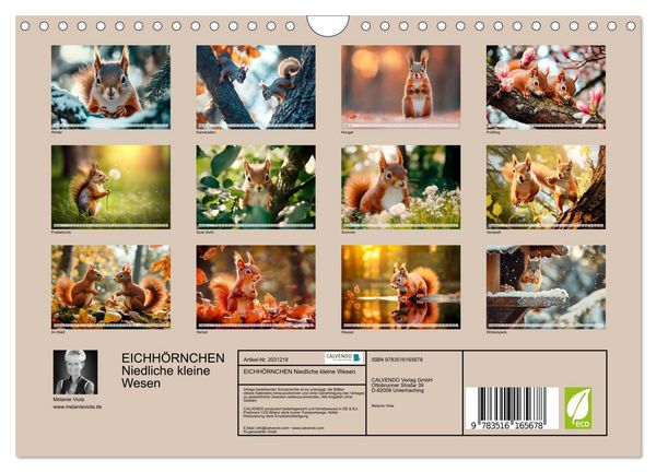 Produktbild: EICHH&Ouml;RNCHEN Niedliche kleine Wesen (Wandkalender 2026 DIN A4 quer), CALVENDO Monatskalender