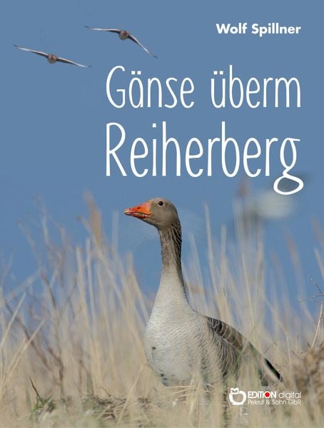 Produktbild: G&auml;nse &uuml;berm Reiherberg