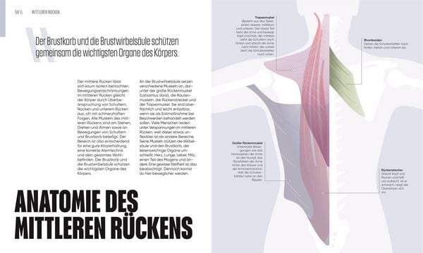 Produktbild: Mit Yoga Schmerzen lindern