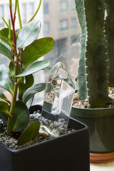 Produktbild: Geo Vase Propagation Station
