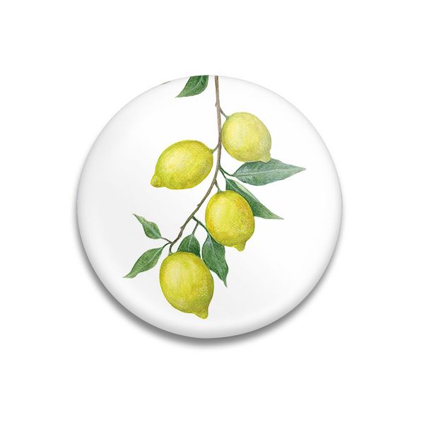 Produktbild: Dekomagnet Sunny Lemons