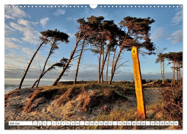 Produktbild: Naturschauspiel Dar&szlig;er Weststrand (Wandkalender 2026 DIN A3 quer), CALVENDO Monatskalender