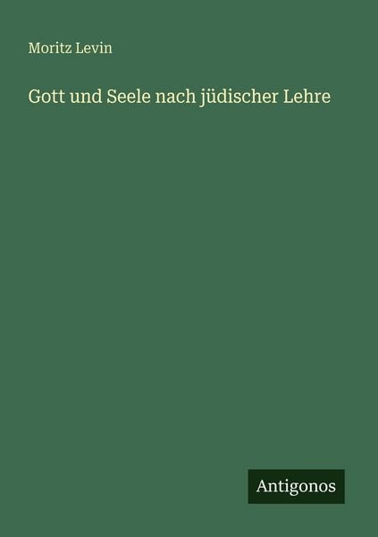 Gott und Seele nach jüdischer Lehre, Taschenbuch von Moritz Levin, Antigonos Verlag, 9783386413992