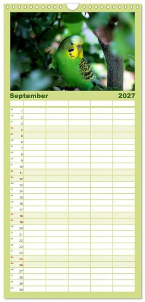 Produktbild: Familienplaner 2027 - Wellensittiche mit 5 Spalten (Wandkalender, 21 x 45 cm) CALVENDO