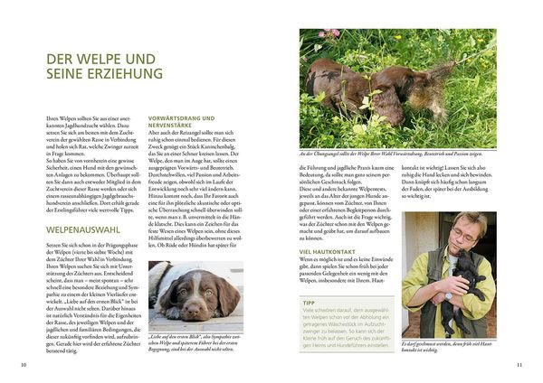 Produktbild: Vom Welpen zum Jagdhelfer