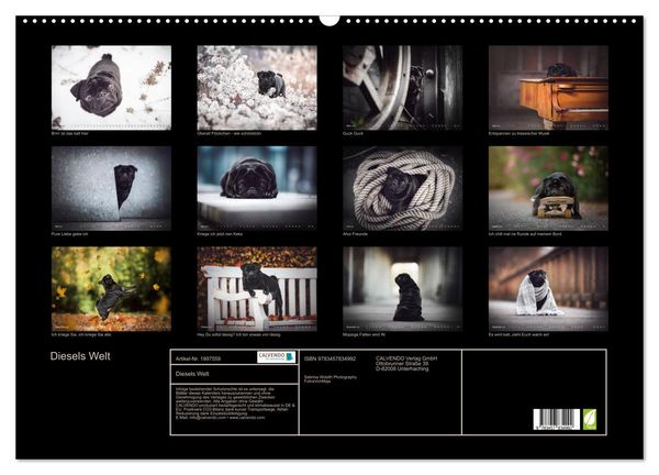 Produktbild: Diesels Welt (Wandkalender 2026 DIN A2 quer), CALVENDO Monatskalender