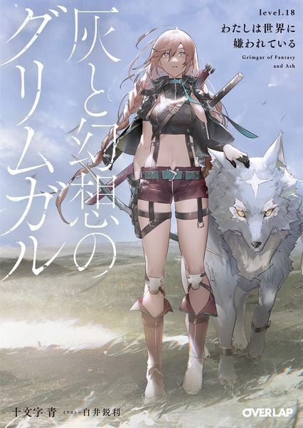 Produktbild: Jyumonji, A: Grimgar of Fantasy and Ash (Light Novel) Vol. 1