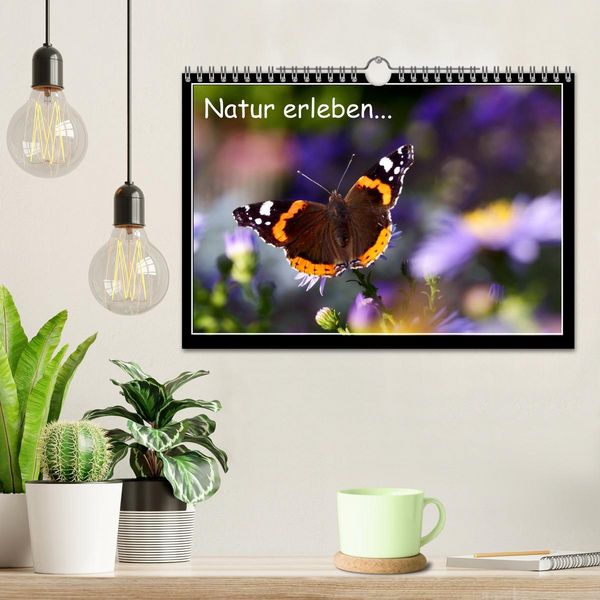 Produktbild: Natur erleben... (Wandkalender 2026 DIN A4 quer), CALVENDO Monatskalender