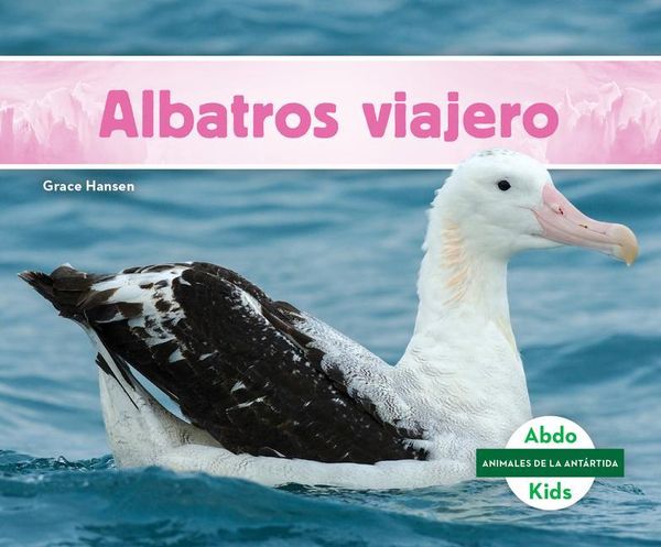 Produktbild: Albatros Viajero (Wandering Albatross)