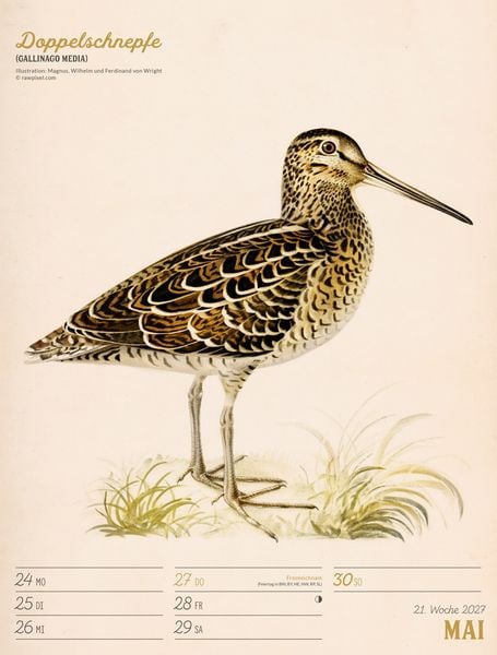 Produktbild: Wunderbare Vogelwelt Wochenplaner Kalender 2027