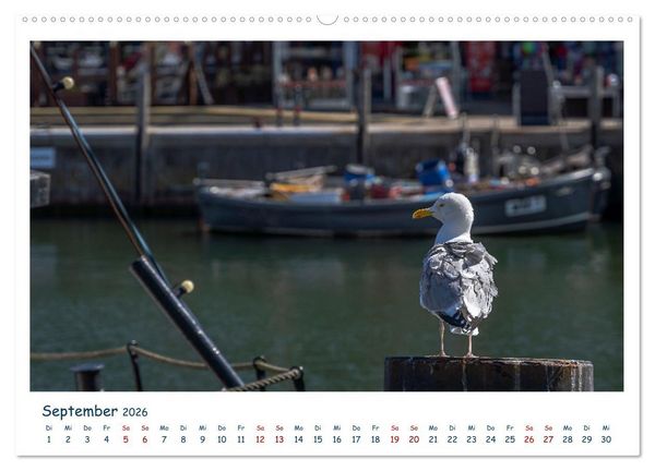 Produktbild: Warnem&uuml;nde an der Ostsee (Wandkalender 2026 DIN A2 quer), CALVENDO Monatskalender