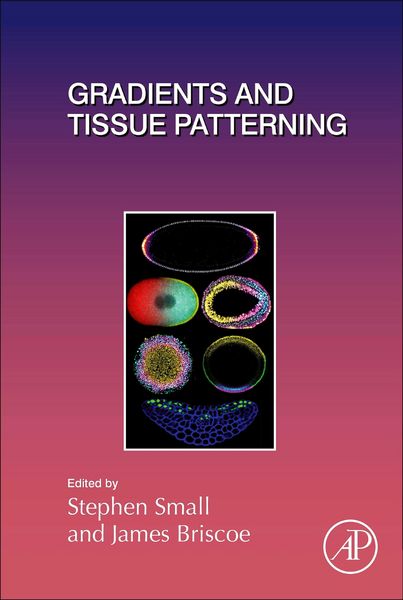 Produktbild: Gradients and Tissue Patterning