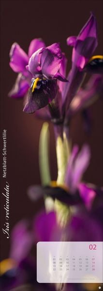 Produktbild: Magic Flowers Vertical Kalender 2027