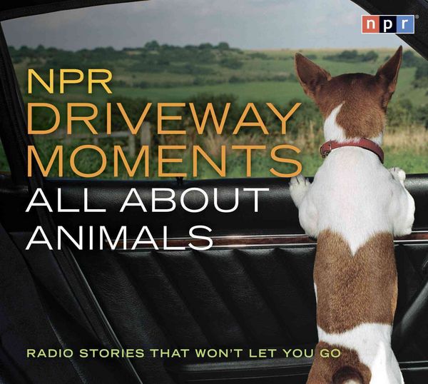 Produktbild: NPR DRIVEWAY MOMENTS ALL AB 2D
