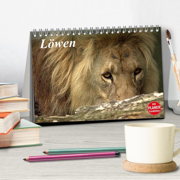 Produktbild: L&ouml;wen (Tischkalender 2026 DIN A5 quer), CALVENDO Monatskalender