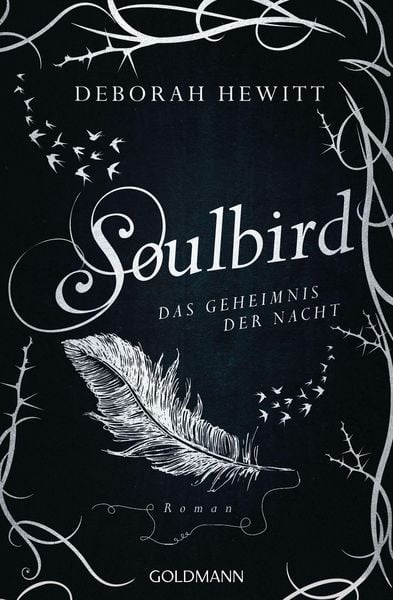 Produktbild: Soulbird - Das Geheimnis der Nacht