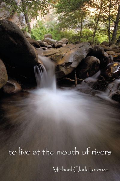 Produktbild: To live at the mouth of rivers