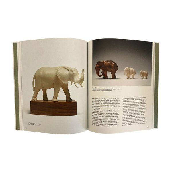 Produktbild: Glanzst&uuml;cke. Deutsches Elfenbeinmuseum Schloss Erbach