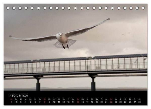 Produktbild: Usedom 2026 Rendezvous zwischen Ahlbeck und Heringsdorf (Tischkalender 2026 DIN A5 quer), CALVENDO Monatskalender