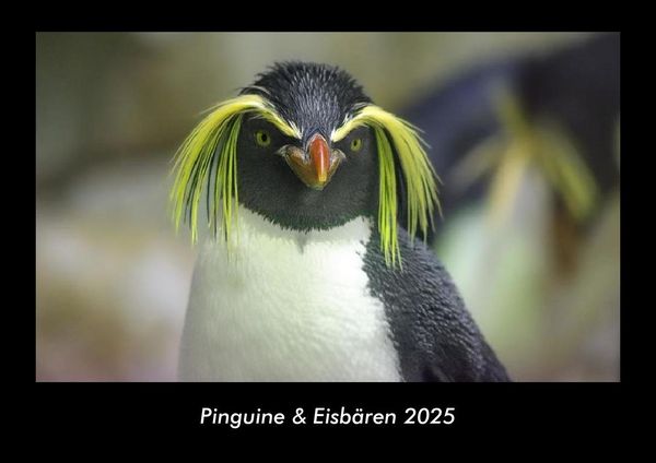 Produktbild: Pinguine & Eisb&auml;ren 2025 Fotokalender DIN A3