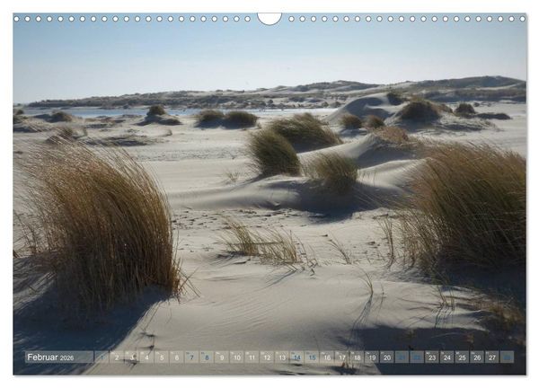 Produktbild: Texel. Neue D&uuml;nen (Wandkalender 2026 DIN A3 quer), CALVENDO Monatskalender