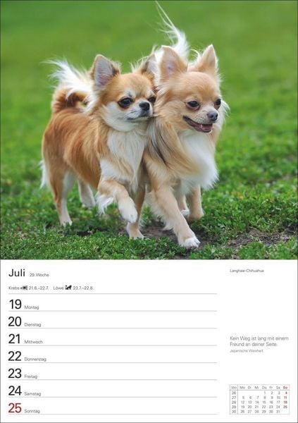 Produktbild: Hunde Wochenplaner 2027 - 53 faszinierende Fotografien