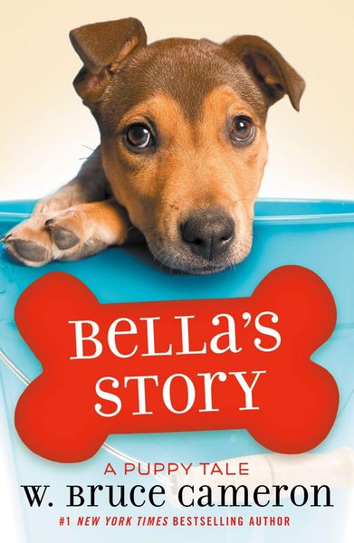 Produktbild: Bella's Story